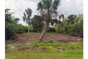 861 BURLAND STREET, PUNTA GORDA, FL 33950 - MLS#MFRD6147474