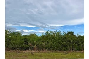 12384 OAKNER STREET, PORT CHARLOTTE, FL 33981 - MLS#MFRD6147585