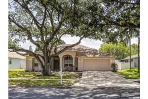 10215 Ashley Oaks Dr, Riverview, FL 33578, Sold 10/05/17