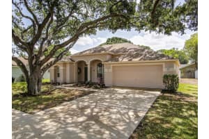 10215 Ashley Oaks Dr, Riverview, FL 33578, Sold 10/05/17