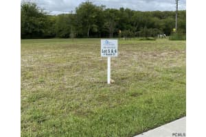 xxx TEUNIS CT, PALM COAST, FL 32137 - MLS#MFRFC259115