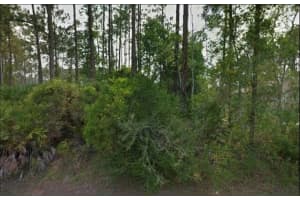 8 RIPTON PL, PALM COAST, FL 32164 - MLS#MFRFC272404