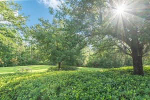 116 Cereus Ln, St. Augustine, FL 32086, Sold 10/31/22