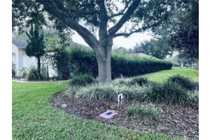 1312 ISLAND COVE DR, DELAND, FL 32724 Sold 06/05/23