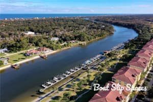 300 CANOPY WALK LANE, PALM COAST, FL 32137 Sold 04/26/23