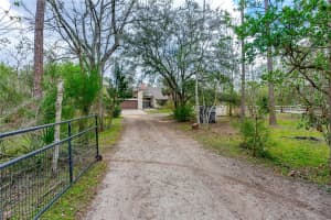 204 CONIFER LANE, ORMOND BEACH, FL 32174 Sold 05/05/23