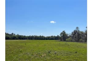 ANDALUSIA TRAIL, BUNNELL, FL 32110 - MLS#MFRFC289835