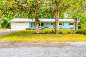 6269 Se 125th Pl, BELLEVIEW