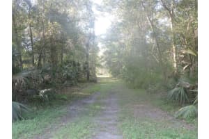 W COUNTY ROAD 2006 WEST W, BUNNELL, FL 32110 - MLS#MFRFC293871