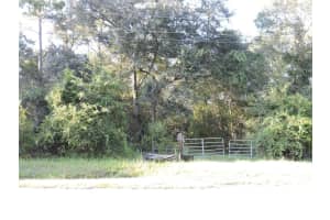 W COUNTY ROAD 2006 WEST W, BUNNELL, FL 32110 - MLS#MFRFC293871
