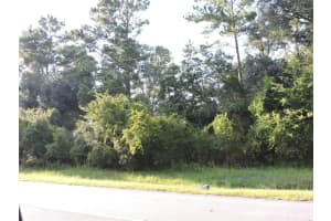W COUNTY ROAD 2006 WEST W, BUNNELL, FL 32110 - MLS#MFRFC293871