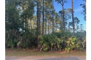 1 RYDELL LANE, PALM COAST, FL 32164 Sold 10/18/24