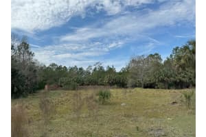 1750 TOMOKA FARMS RD, PORT ORANGE, FL 32128 - MLS#MFRFC297246