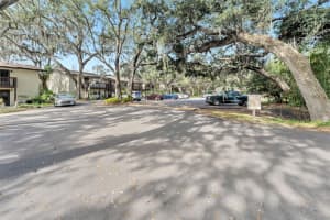 141 FERNERY ROAD, LAKELAND, FL 33809 Sold 09/13/24