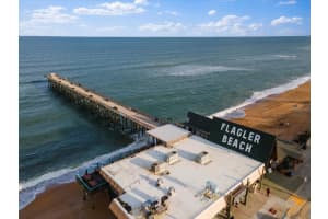 100 PALM DRIVE, FLAGLER BEACH, FL 32136 - MLS#MFRFC298156