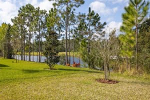 670 GRAND RESERVE DRIVE, BUNNELL, FL 32110 Sold 06/21/24
