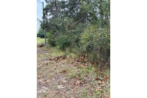 5806 SPRUCE CREEK WOODS DRIVE, PORT ORANGE, FL 32127 Sold 11/14/24