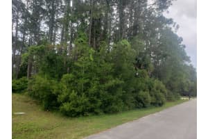 17 RYALL LANE, PALM COAST, FL 32164 Sold 10/21/24