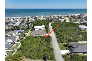 11 MAHOE DRIVE, PALM COAST, FL 32137 - MLS#MFRFC299292