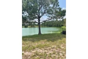 699 MAHOGANY RUN, PALM COAST, FL 32137 - MLS#MFRFC299584