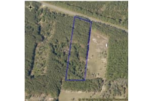 4159 STATE HWY 100 W, BUNNELL, FL 32110 Sold 12/16/24