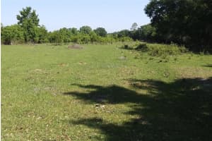 3742 W COUNTY ROAD 90, BUNNELL, FL 32110 Sold 12/12/24