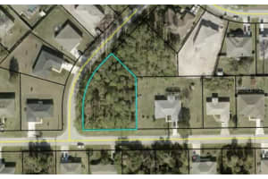 15 PORCUPINE DRIVE, PALM COAST, FL 32164 Sold 10/25/24