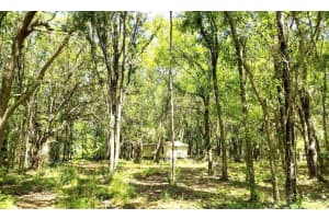 3702 PEAR AVENUE, BUNNELL, FL 32110 Sold 06/04/24