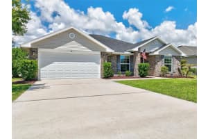 48 TURTLE RIDGE DRIVE, FLAGLER BEACH, FL 32136 Sold 10/18/24