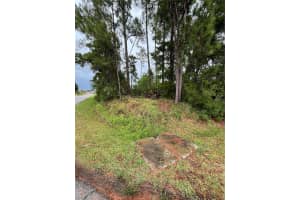 71 FAIRBANK LANE, PALM COAST, FL 32137 Sold 10/31/24