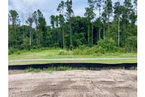 126 HULETT WOODS ROAD, PALM COAST, FL 32137 Sold 02/07/25
