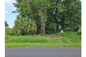 55 WOODHOLLOW LANE, PALM COAST, FL 32164 Sold 10/25/24
