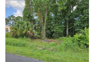 55 WOODHOLLOW LANE, PALM COAST, FL 32164 Sold 10/25/24