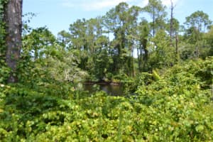 49 PRICE LANE, PALM COAST, FL 32164 Sold 10/10/24