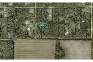 2903 BEECH BOULEVARD, BUNNELL, FL 32110 Sold 10/30/24