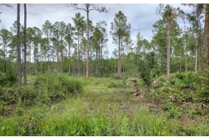 5814 MAHOGANY BOULEVARD, BUNNELL, FL 32110 - MLS#MFRFC303710