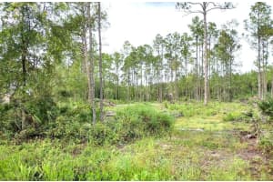 5814 MAHOGANY BOULEVARD, BUNNELL, FL 32110 - MLS#MFRFC303710