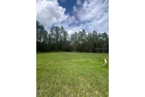 4641 HERIN DRIVE, NEW SMYRNA BEACH, FL 32168 - MLS#MFRFC303875