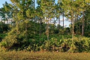71 SEA TRAIL, PALM COAST, FL 32164 - MLS#MFRFC304239