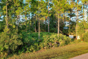 71 SEA TRAIL, PALM COAST, FL 32164 - MLS#MFRFC304239