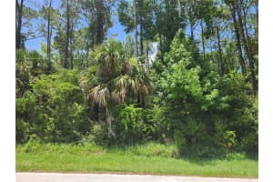 14 FENWOOD LANE, PALM COAST, FL 32137 Sold 12/04/24