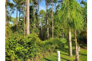 22 KAYWOOD PLACE, PALM COAST, FL 32164 Sold 03/28/25