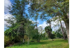 9 SQUIRREL PLACE, PALM COAST, FL 32164 Sold 11/15/24