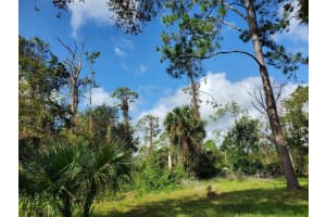 9 SQUIRREL PLACE, PALM COAST, FL 32164 Sold 11/15/24