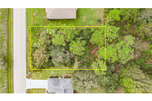 198 BIRD OF PARADISE DRIVE, PALM COAST, FL 32137 Sold 12/17/24
