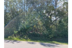 22 PONDEROSA LANE, PALM COAST, FL 32164 Sold 12/03/24