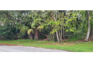 54 WEYANOKE LANE, PALM COAST, FL 32164 Sold 12/16/24