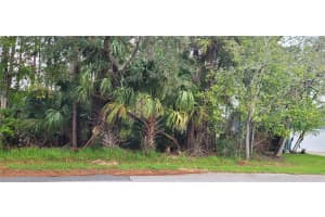 54 WEYANOKE LANE, PALM COAST, FL 32164 Sold 12/16/24