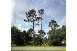 53 SLEEPY HOLLOW TRAIL, PALM COAST, FL 32164 Sold 03/11/25
