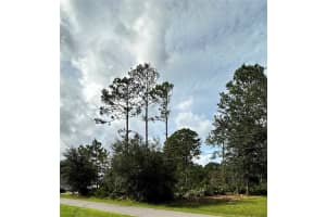 53 SLEEPY HOLLOW TRAIL, PALM COAST, FL 32164 Sold 03/11/25